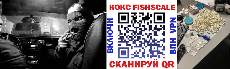 КОКАИН Fish Scale  Купить где  Заволжск 