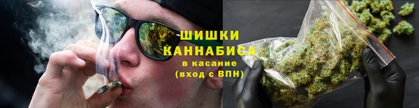 гидропоника Ладушкин