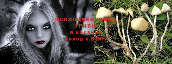 дживик Лабытнанги