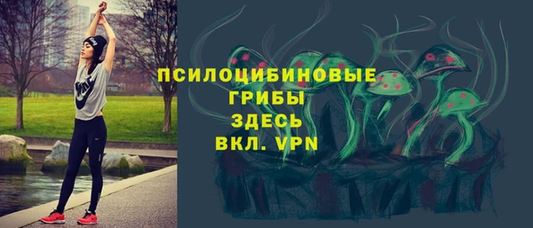 дживик Лабытнанги