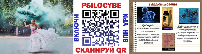 Псилоцибиновые грибы Psilocybe Купить где Заволжск